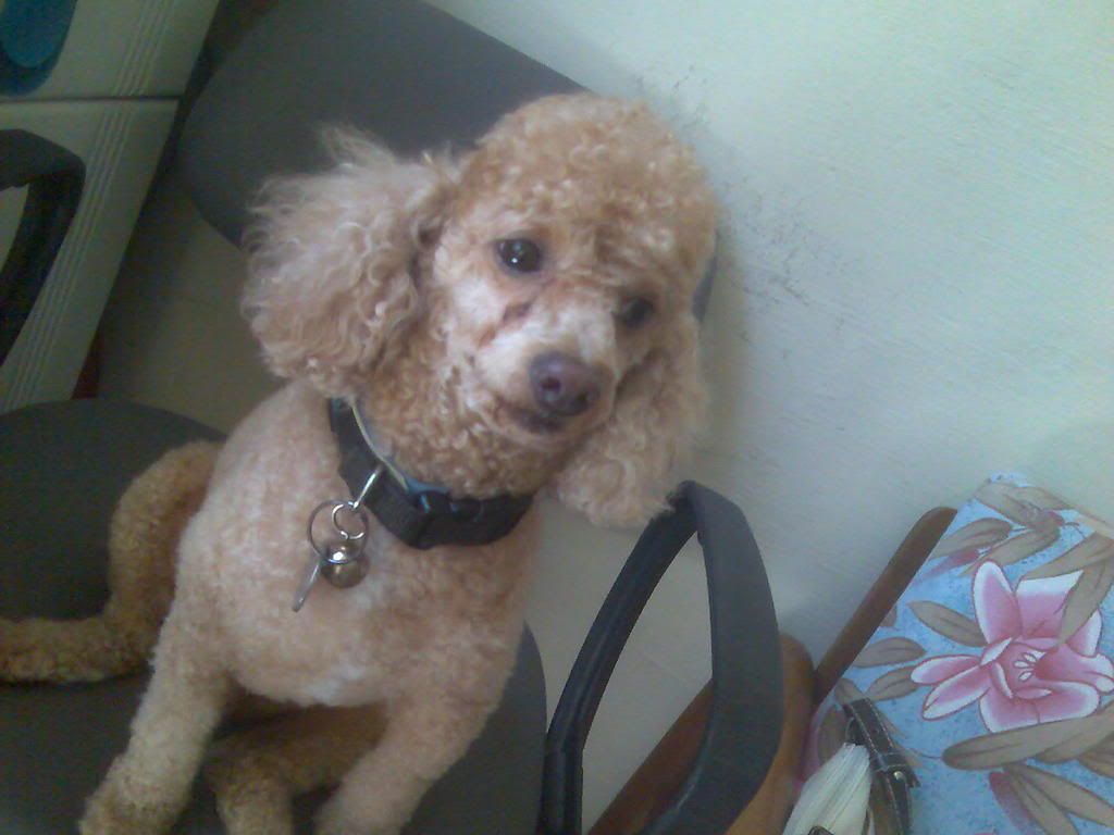 Photo Sharing and Video Hosting at Photobucket