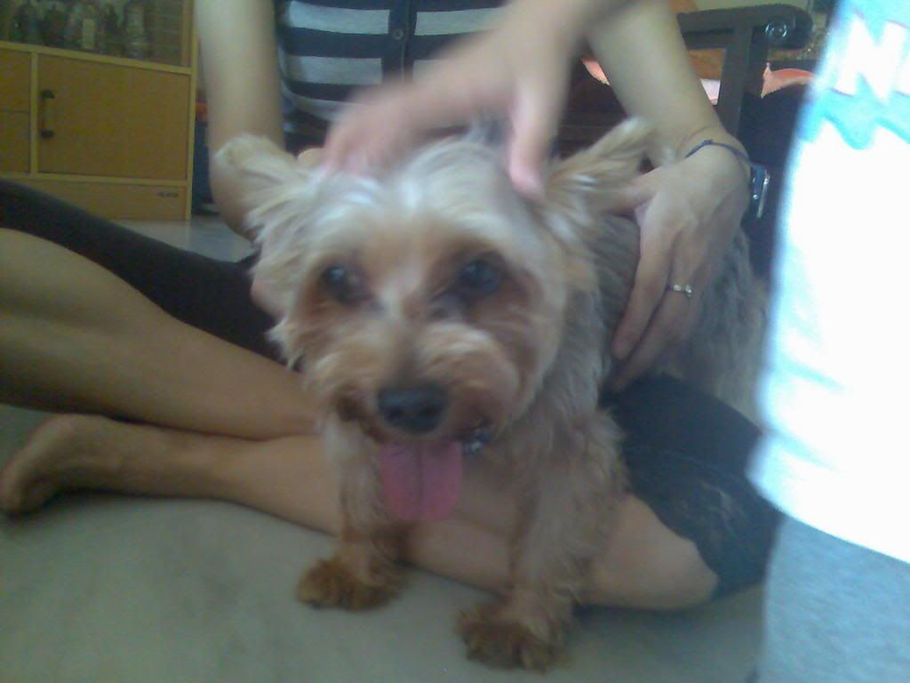 Photo Sharing and Video Hosting at Photobucket