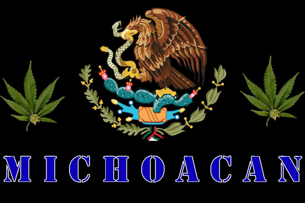 fachadas de casas rusticas en michoacan