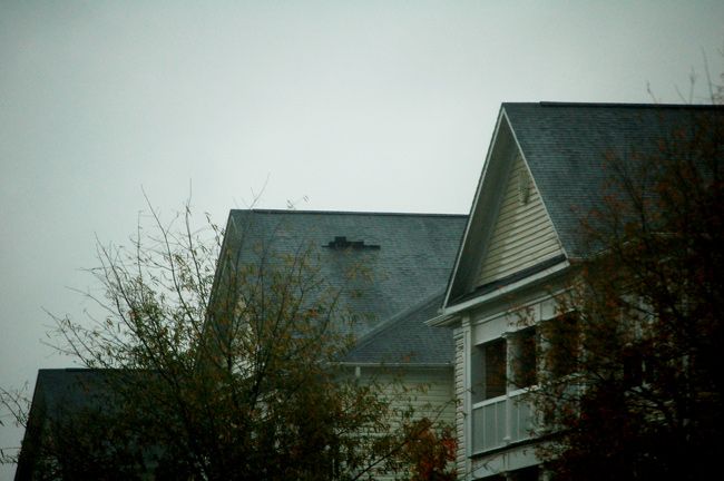 roof_shingles.jpg