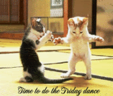 thtimetodothefridaydancetr9-1.gif FRIDAY image by RORYDIONALEXIS