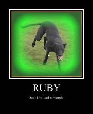 ApicofRuby.jpg