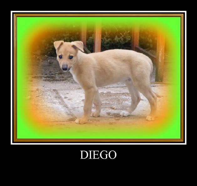 Diego-1-1-1-1.jpg