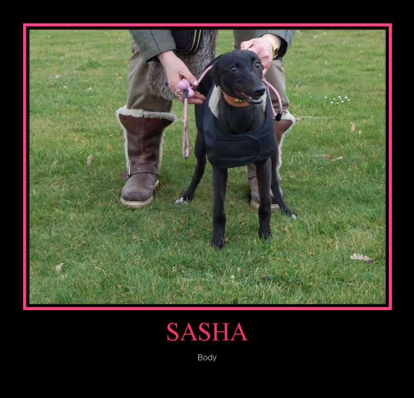 Littlesasha-1.jpg