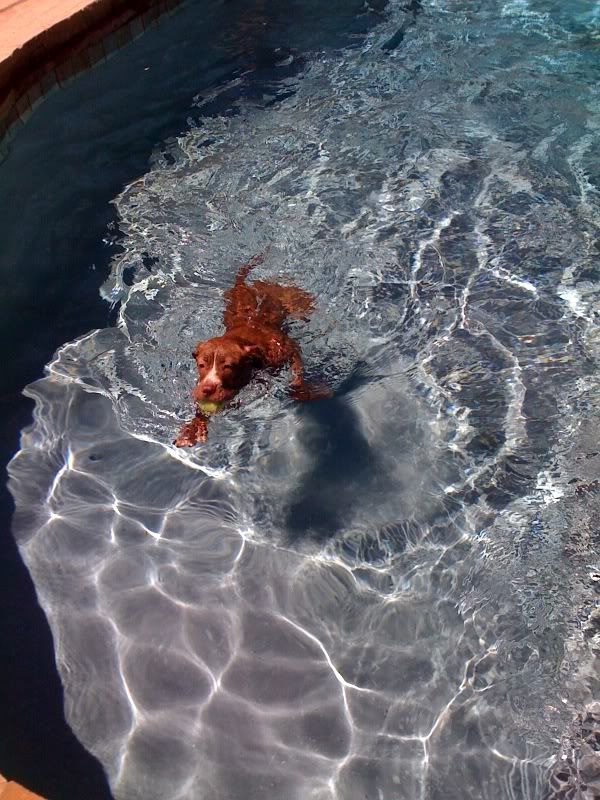 jasmineswimming4thofjuly2009.jpg