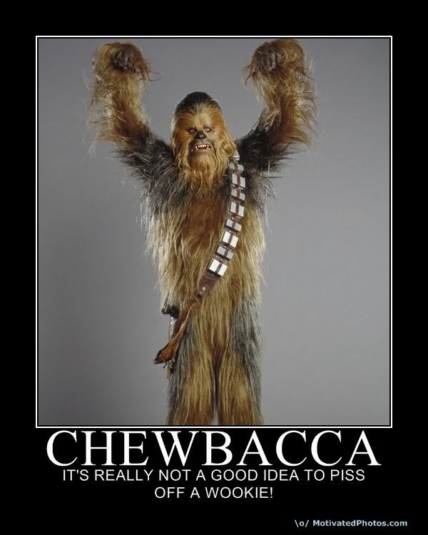 633917241379511000-chewbacca.jpg