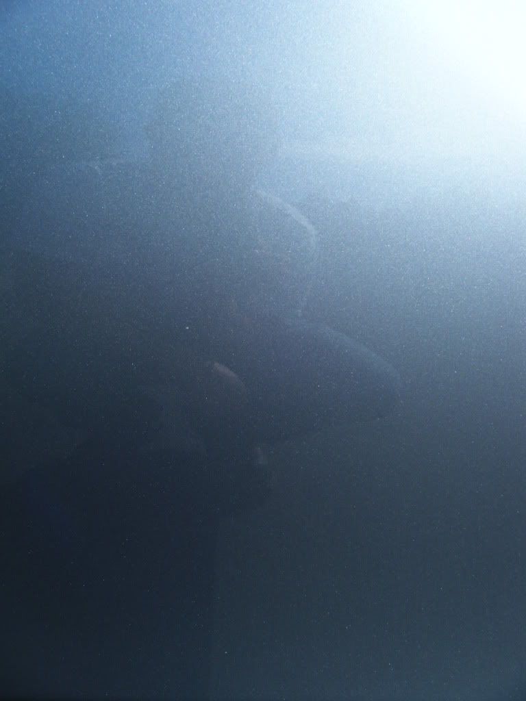DSCF4334.jpg