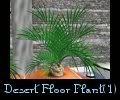 Desert Floor Plant(1)