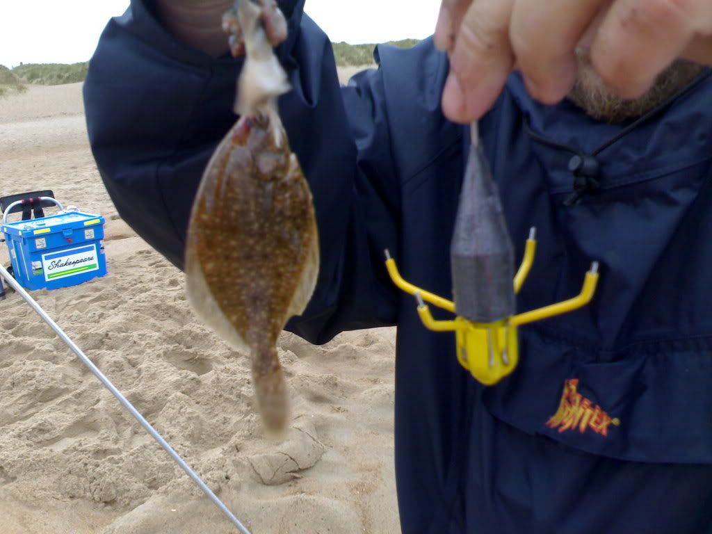 skemsfish.jpg