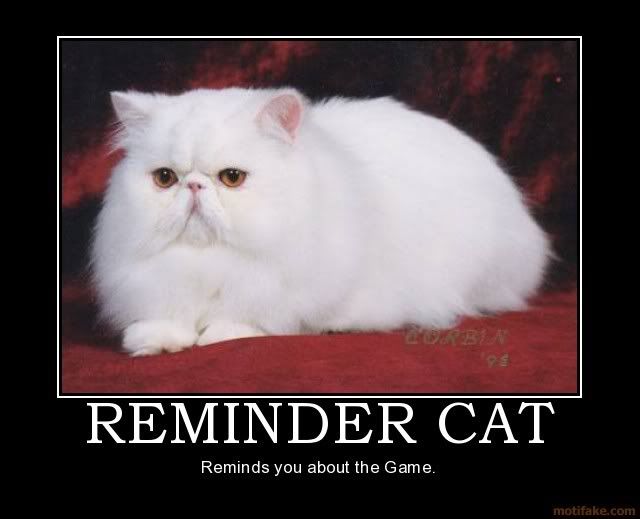 Reminder Cat Photo by pimpinyoshi64 Photobucket