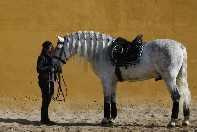 indiano019.jpg