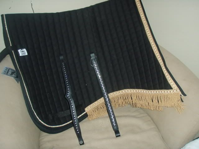 indianonr2014-1.jpg