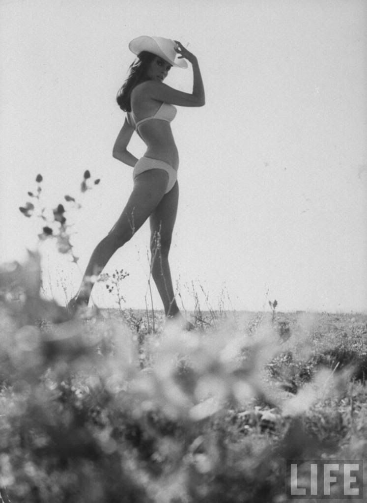 raquel cordova raq-c. Raquel Welch, 1965