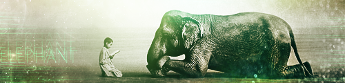 elephantcopy.png