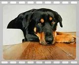 sad depression quotes. depression quotes pictures