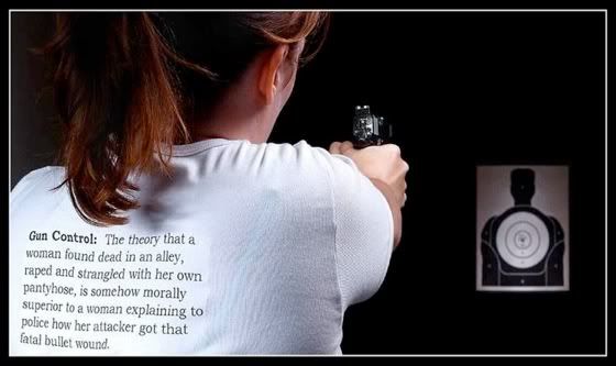 Gun Control Theory