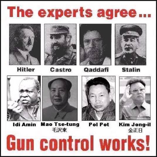 Gun Control Works?