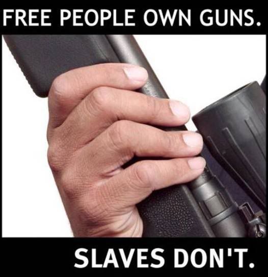 Free people own guns...
