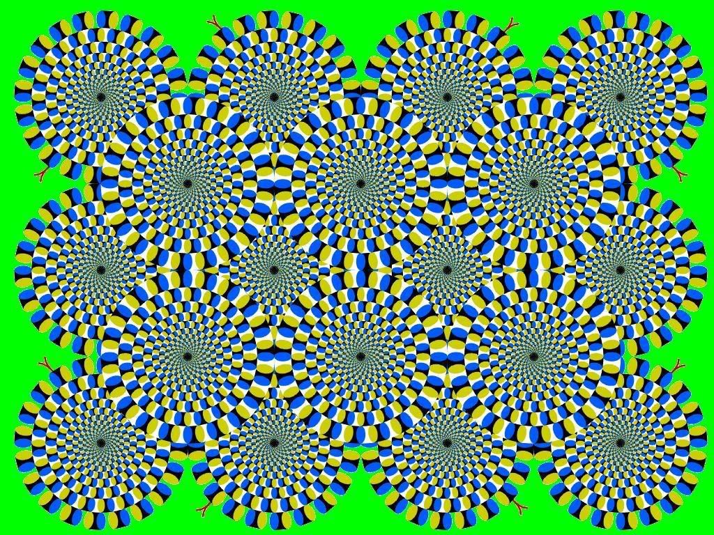 opticalillusion.jpg