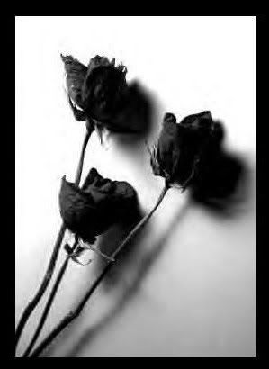 black roses