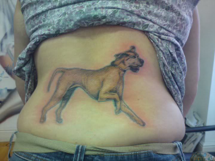 tattoo Pictures, Images and Photos