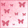 Pink butterflies Pictures, Images and Photos