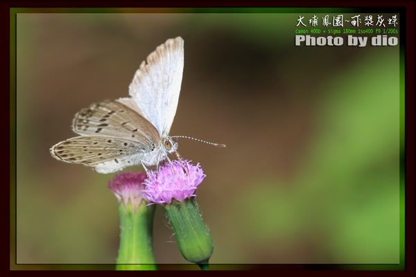 Photo Sharing and Video Hosting at Photobucket
