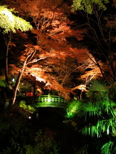 赤や緑に照らされた紅葉や橋