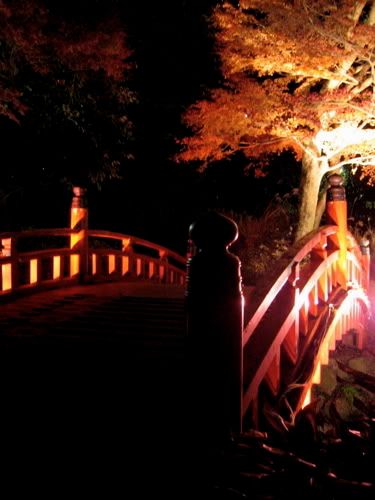 朱色の架け橋と紅葉