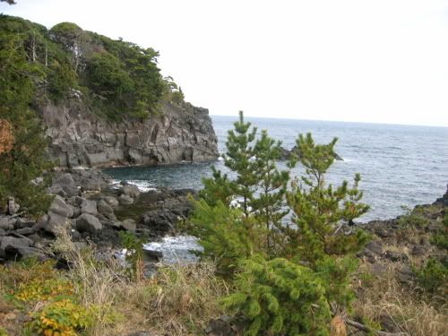 城ヶ崎海岸遠景