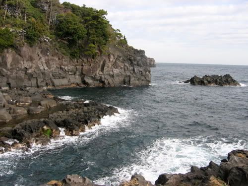 崖の上から黒岩の入り江を望む