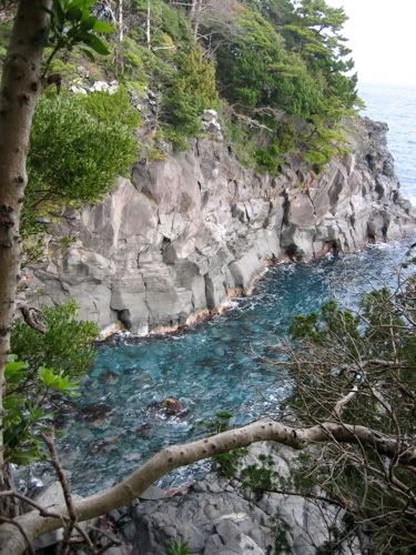 青く透き通る海面を望む