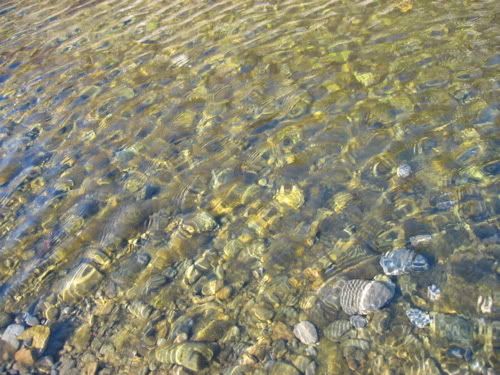 さざ波の立つ水面