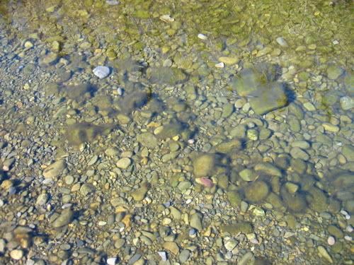 風が収まった水面