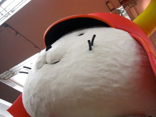 ふかふかの白い顔アップ