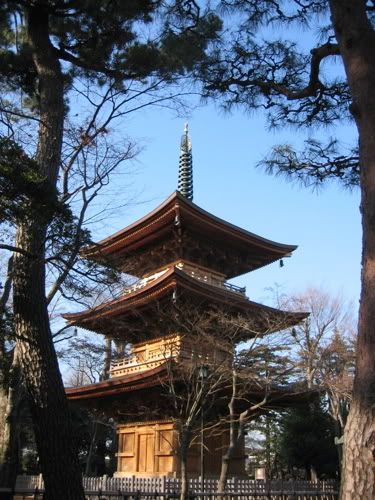真新しい木肌の三重塔