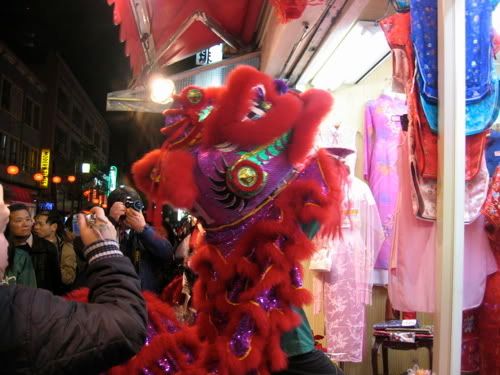 チャイナドレス店に入る紫の獅子