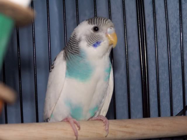 Picture050.jpg
