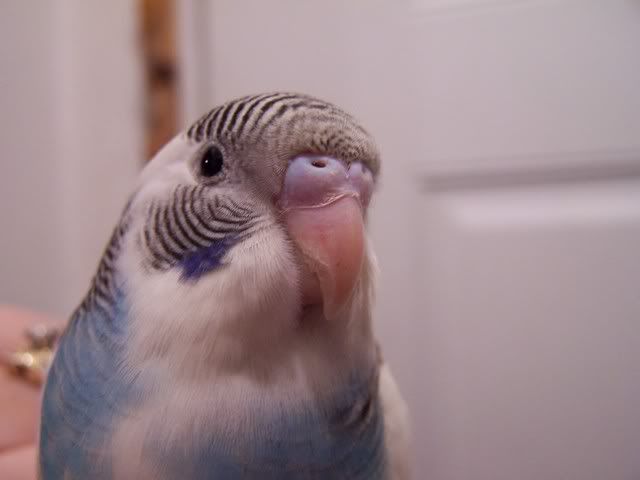Picture106.jpg