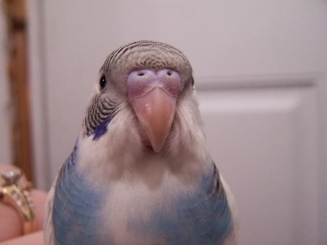 Picture107.jpg