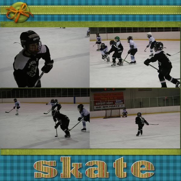 February-2009-016-hockey-7.jpg