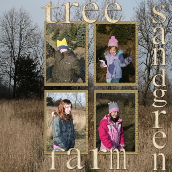 November-2008-021-tree-farm-1.jpg