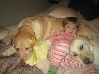 ashleydogs4.jpg