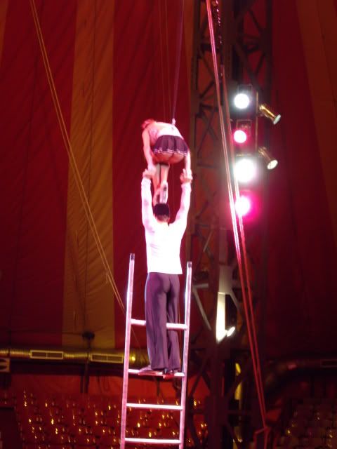 IMGP2413.jpg