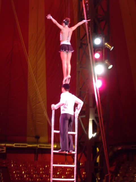 IMGP2414.jpg
