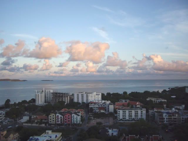 IMGP2480.jpg