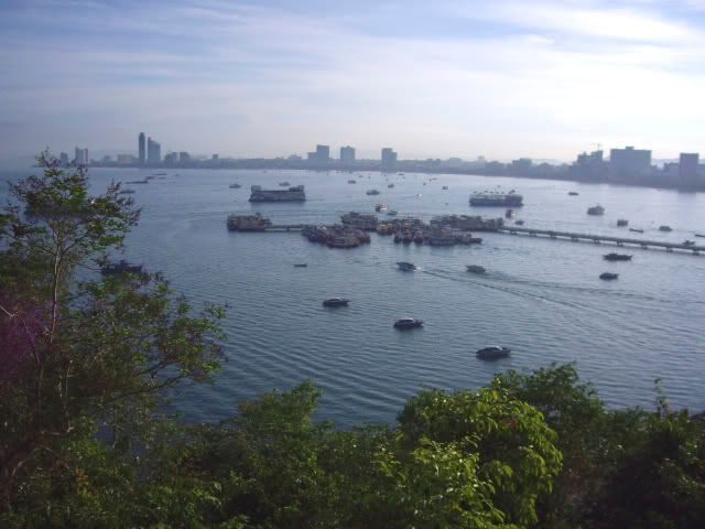 IMGP2487.jpg