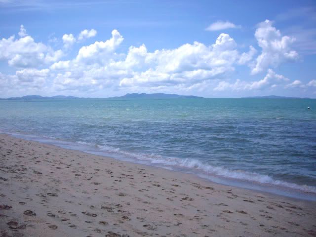IMGP2496.jpg