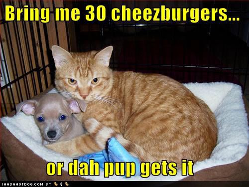 funny puppy pictures. Yeah they are pretty funny to