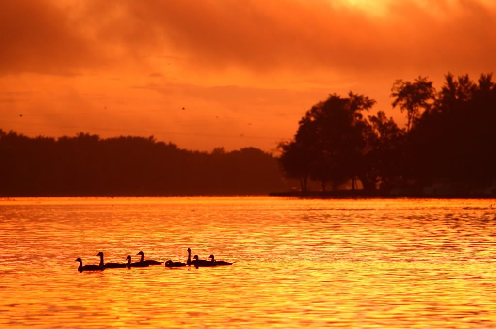 IMAGE: http://i178.photobucket.com/albums/w271/Loags/Favorites/IMG_3651.jpg